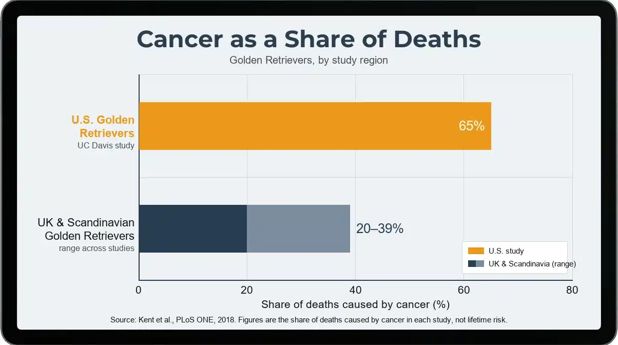 Bar chart: cancer caused 65% of deaths in a UC Davis study of U.S. Golden Retrievers, against 20–39% in UK and Scandinavian studies (Kent et al., 2018)